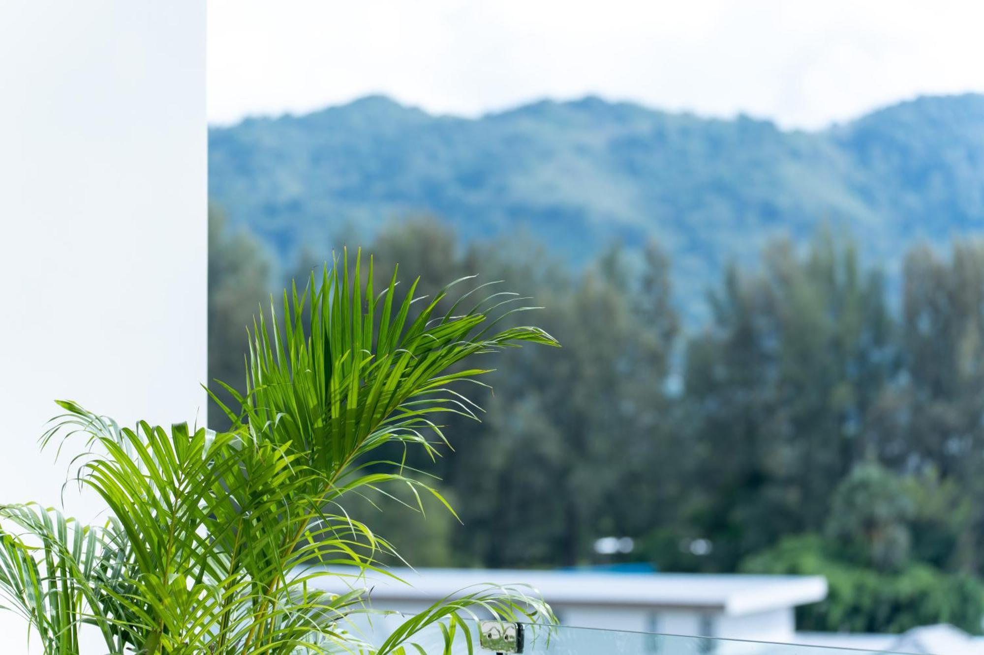 Sole Mio Boutique Hotel And Wellness - Adults Only バンタオビーチ エクステリア 写真